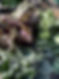 FA4CD969-7C9C-4B4F-AA64-8B436118C474.jpe