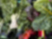 67245D7B-EEA2-45D3-BBA6-E953556E75DF.jpe