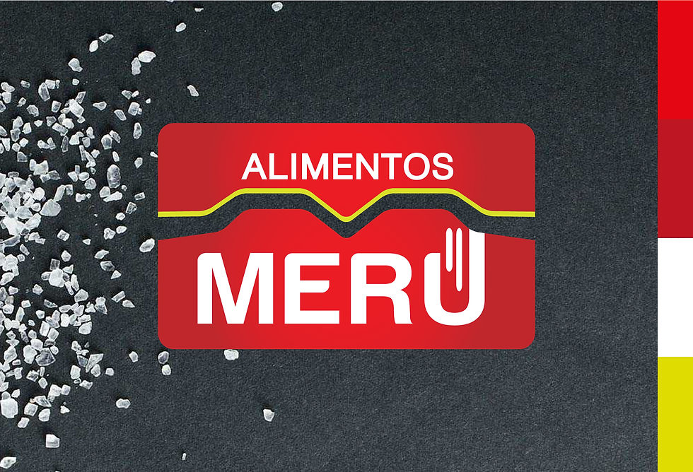 2 _ MERU _ VSP.jpg