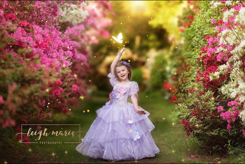 Fairy Party & Parade