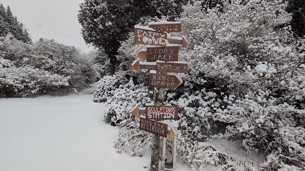 2025 Festival of Trees