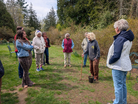 Biodiversity in the Garden