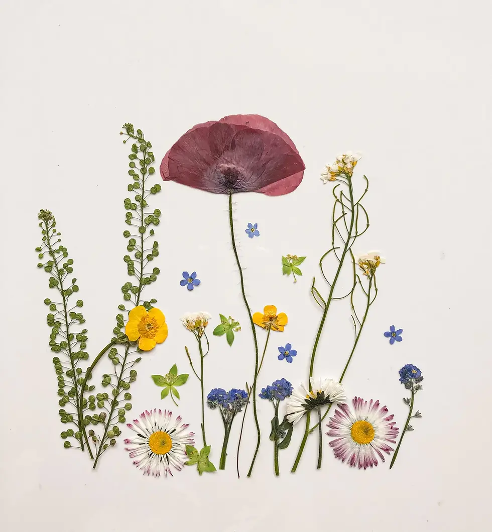 Kids @ Kinney: Flower Pressing & Botany