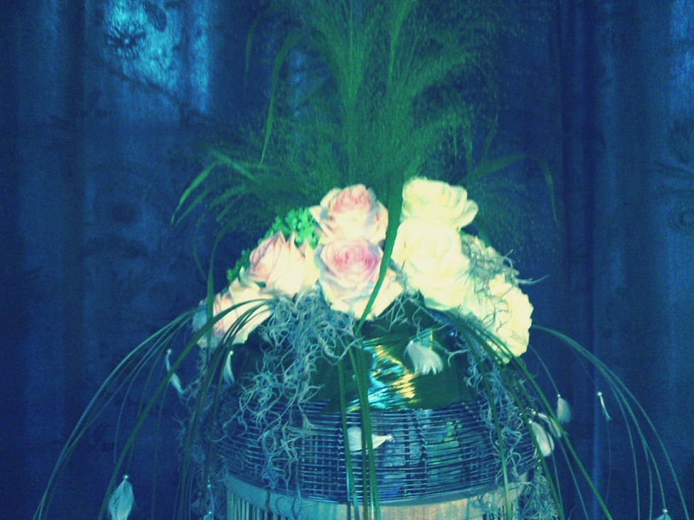 Dessus de la volière