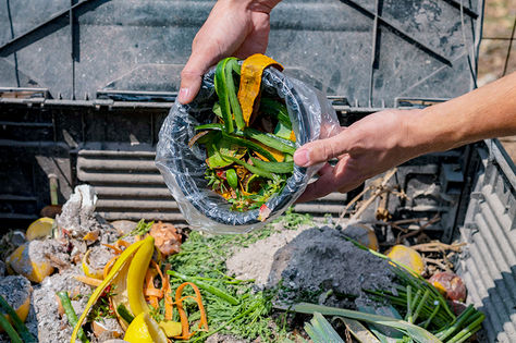 How to Reduce Food Waste in Restaurants