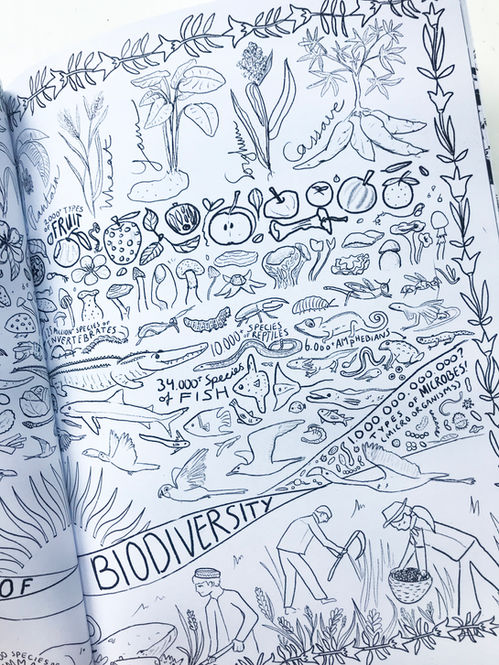 The Beauty of Biodiversity kleurplaat uit het biologische landbouw kleurboek