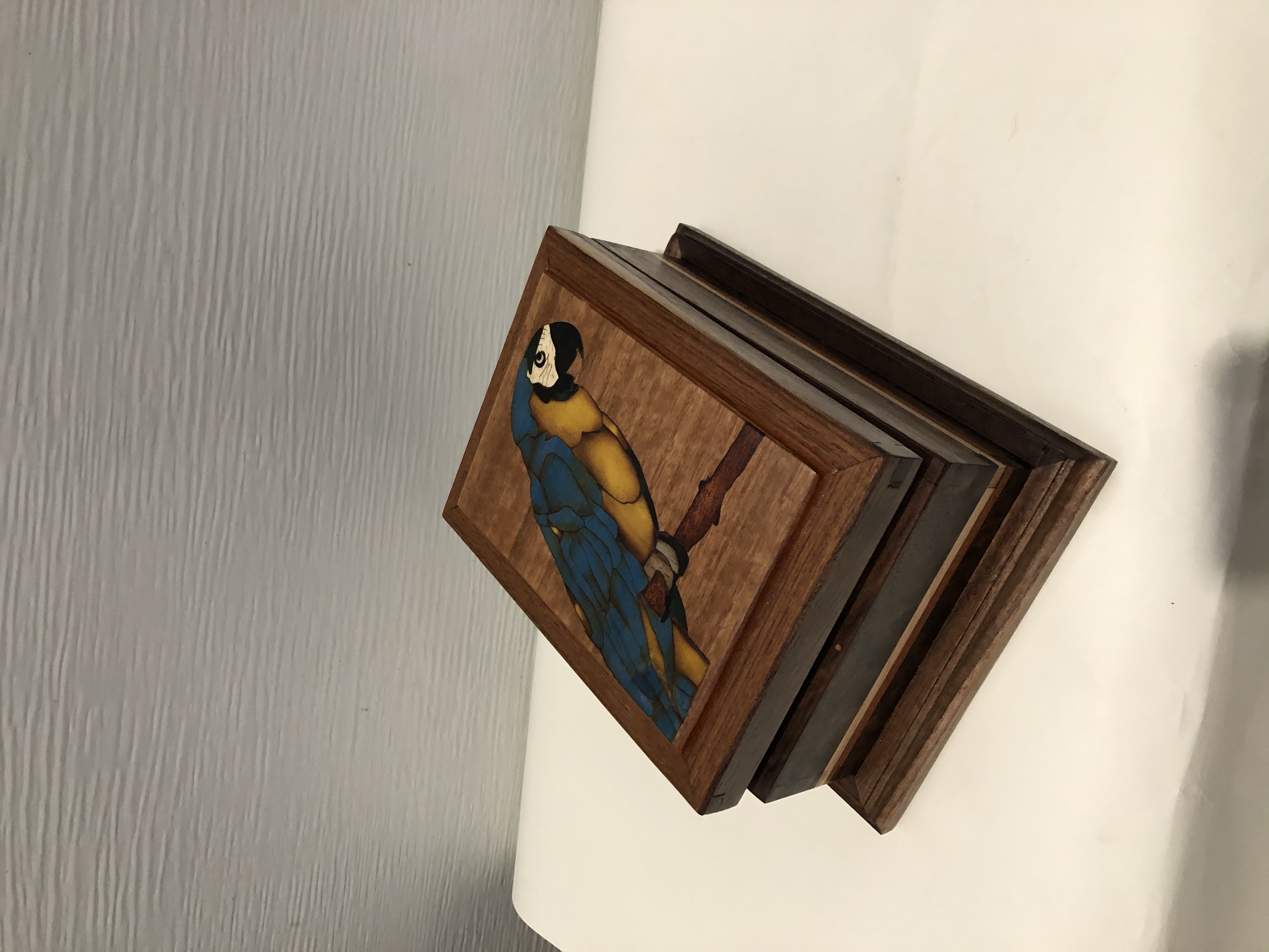 PB#323 French Marquetry Inlay Blue & Yellow Macaw $120