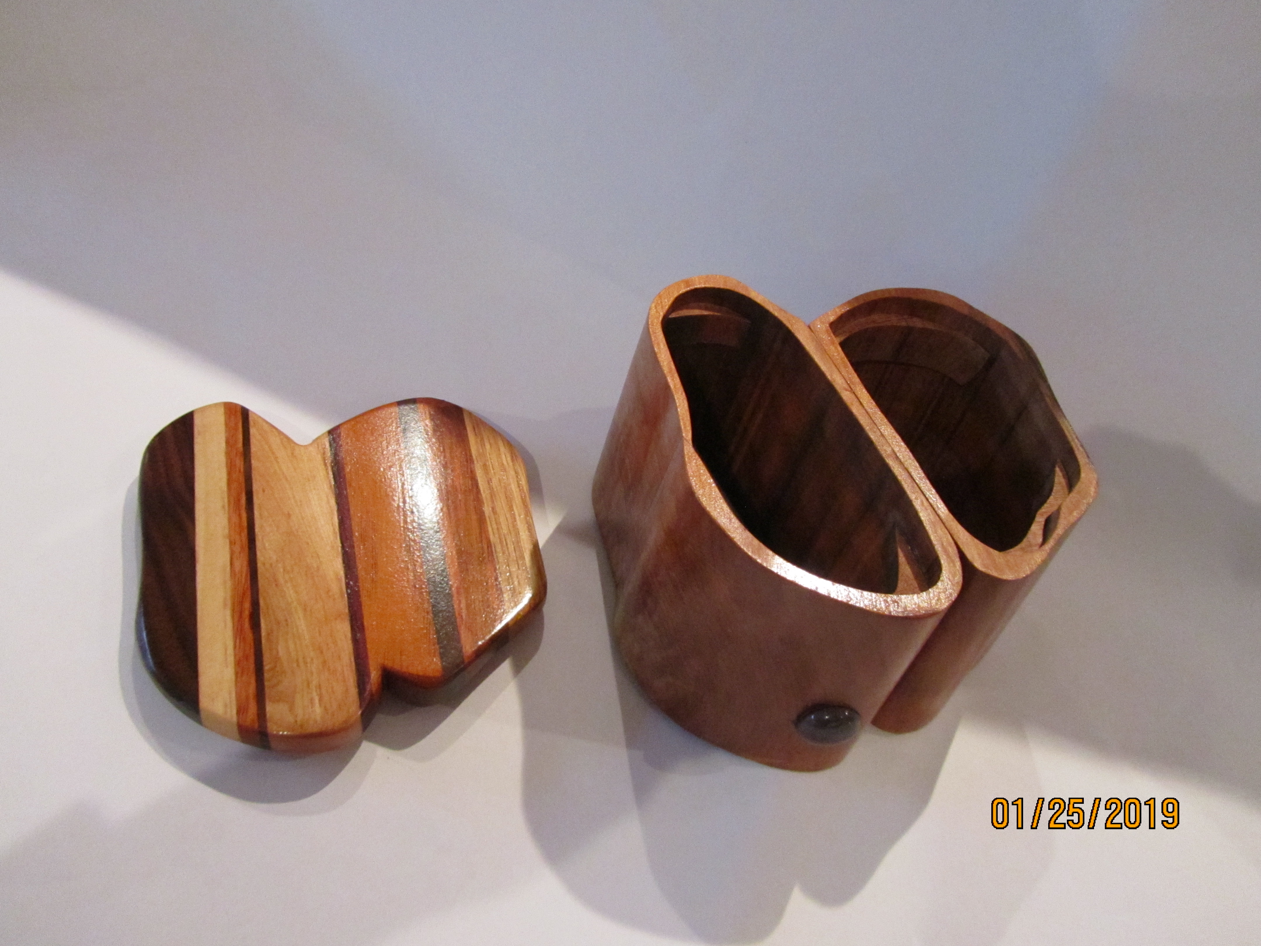 SOLD PB#226 Jewelry Organic Case