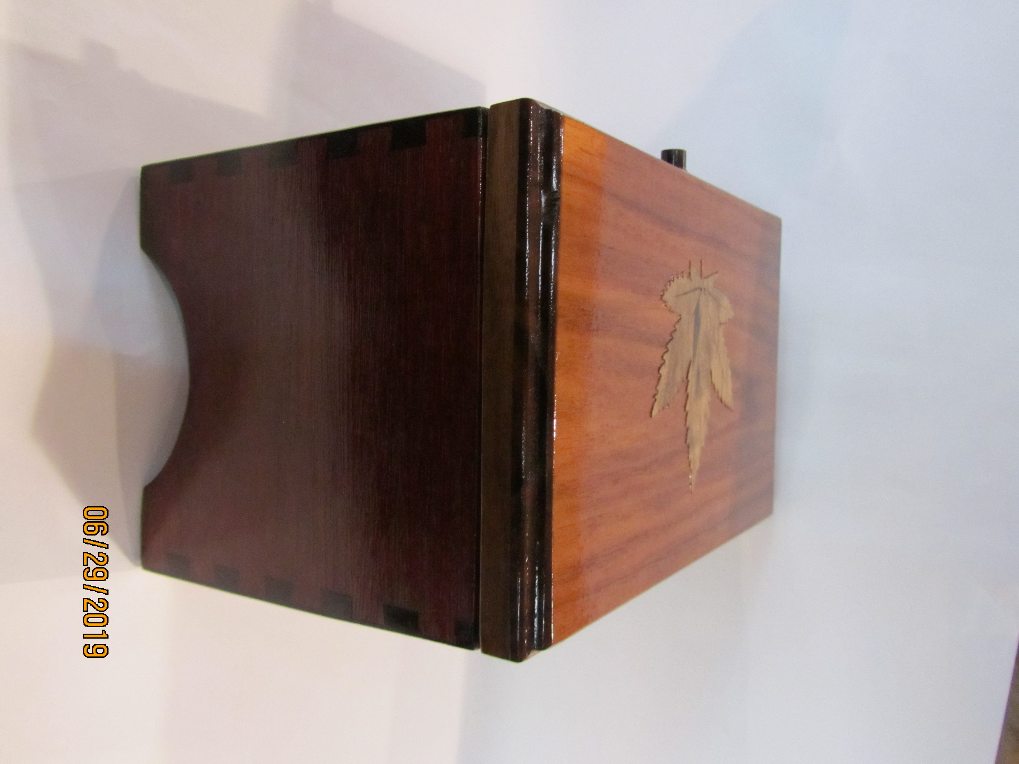 PB#247 Cannabis Case