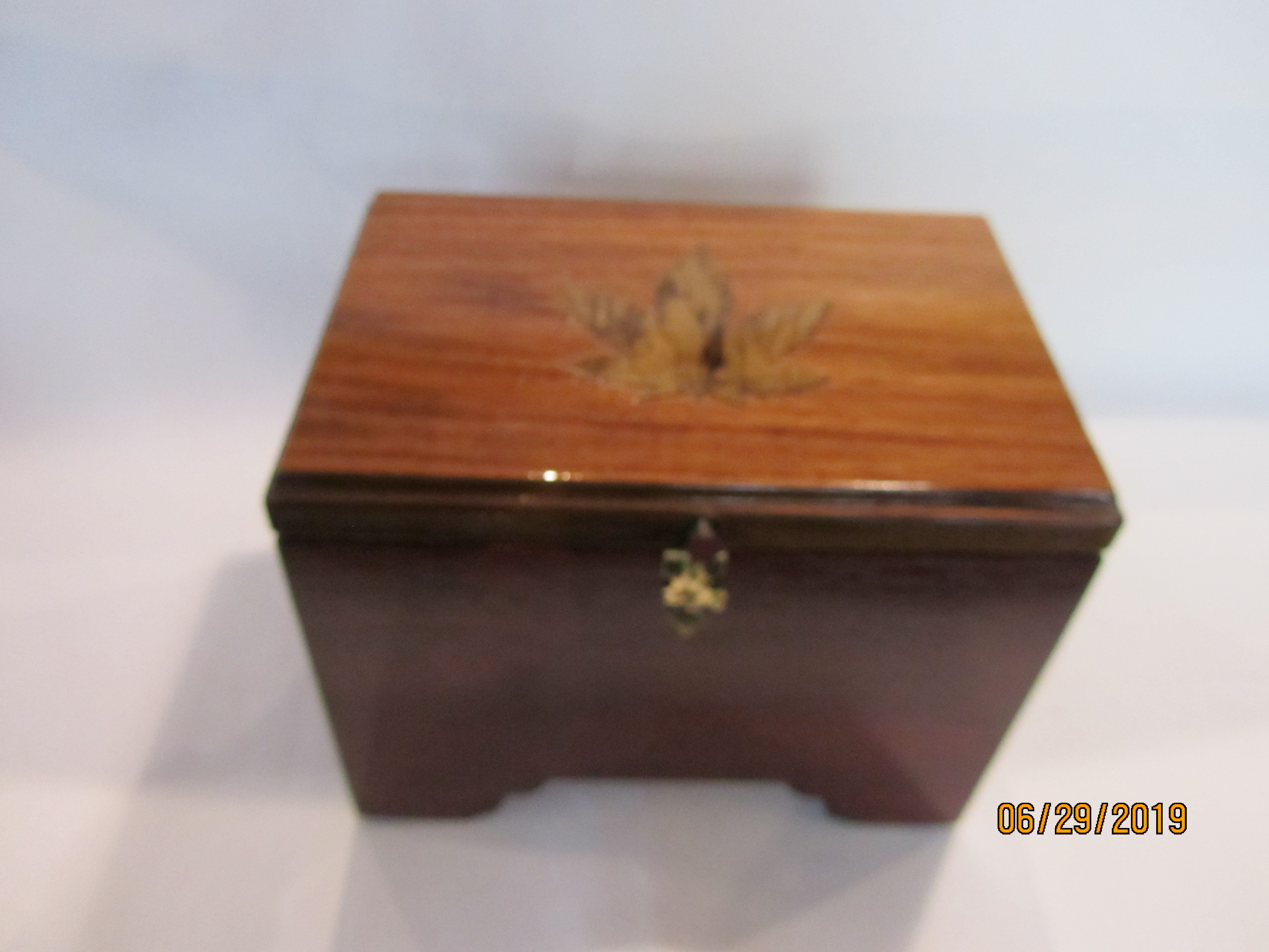 PB#247 Cannabis Case
