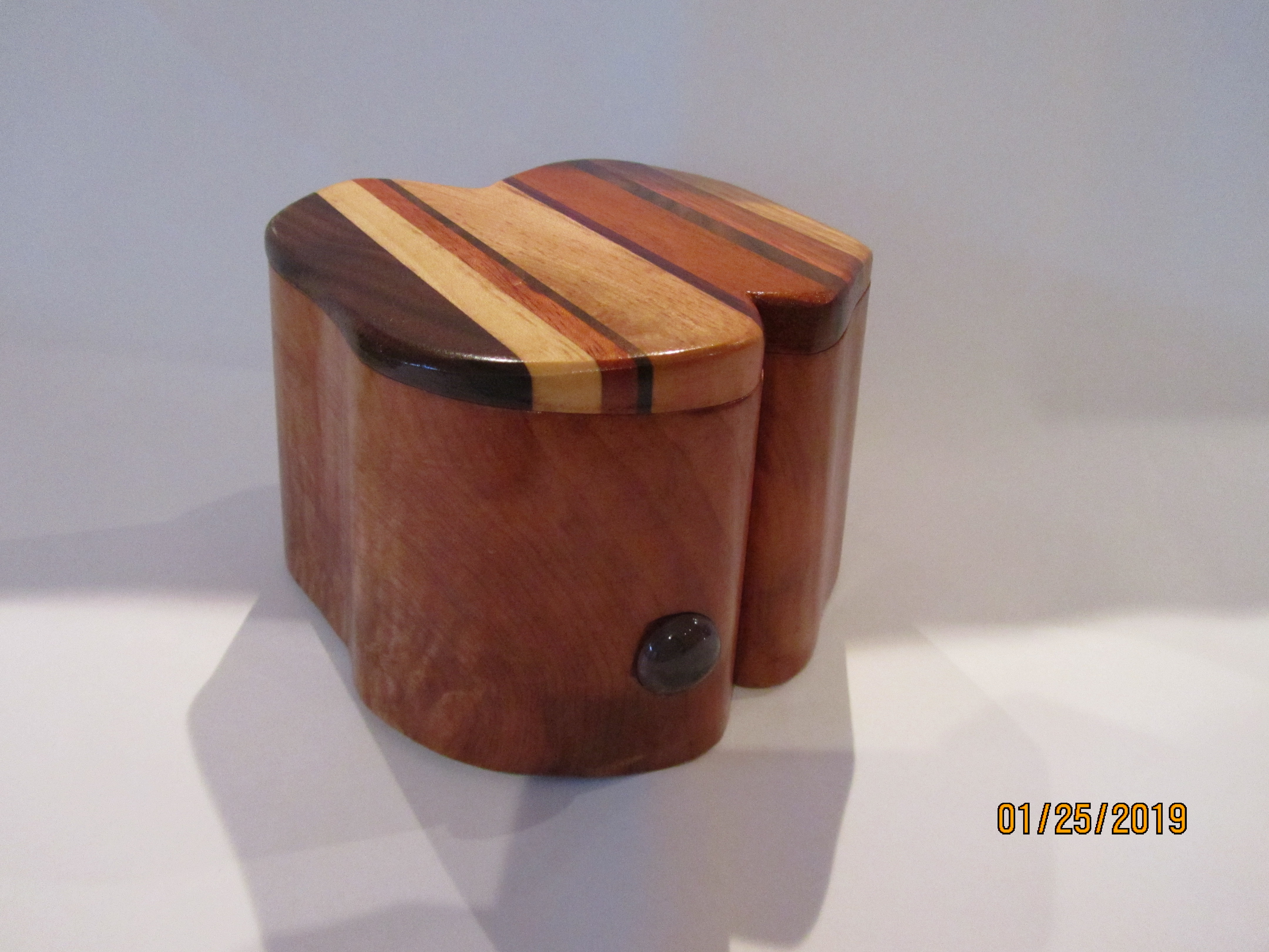 SOLD PB#226 Jewelry Organic Case