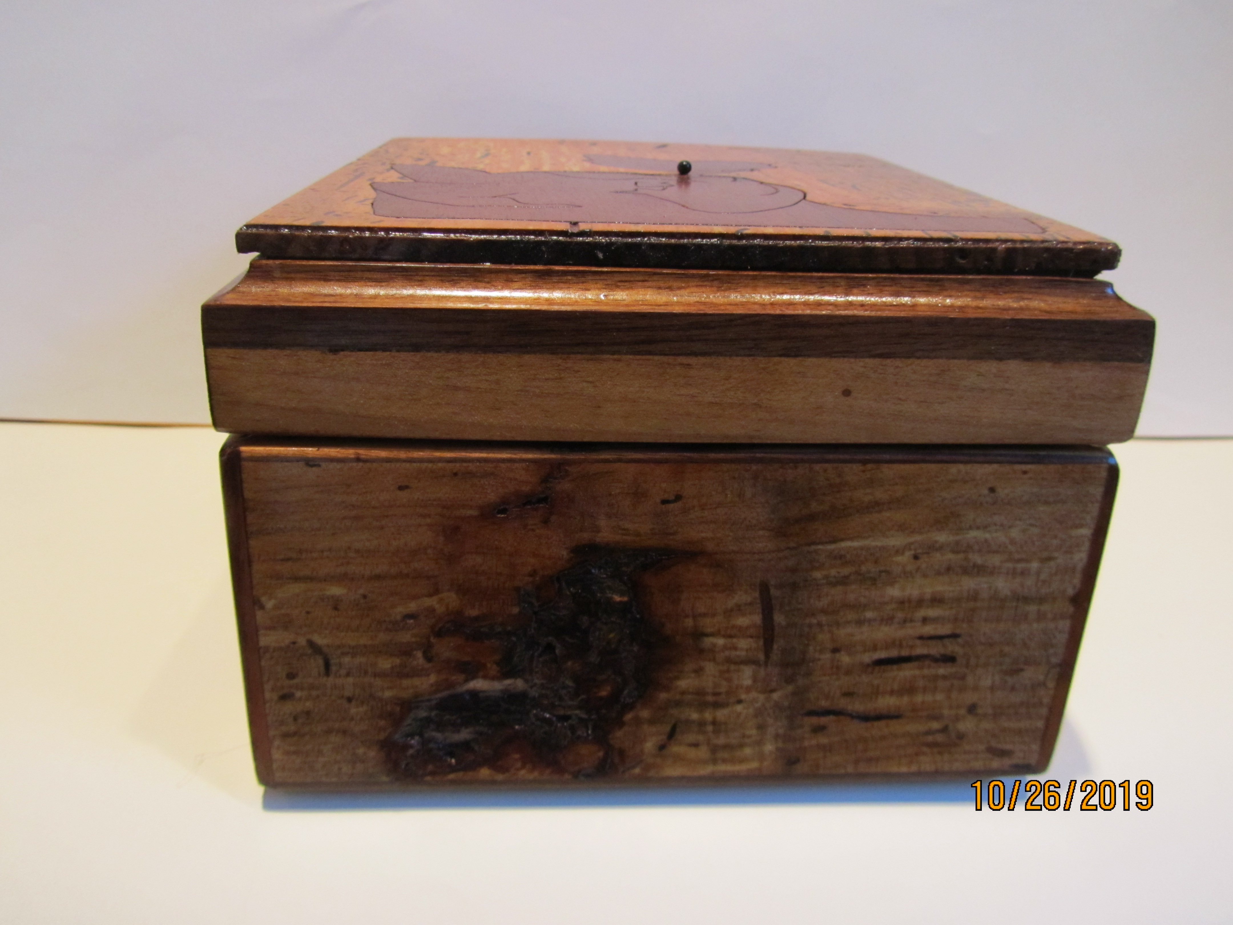SOLDPB#264 Inlaid Cat/Butterfly $150