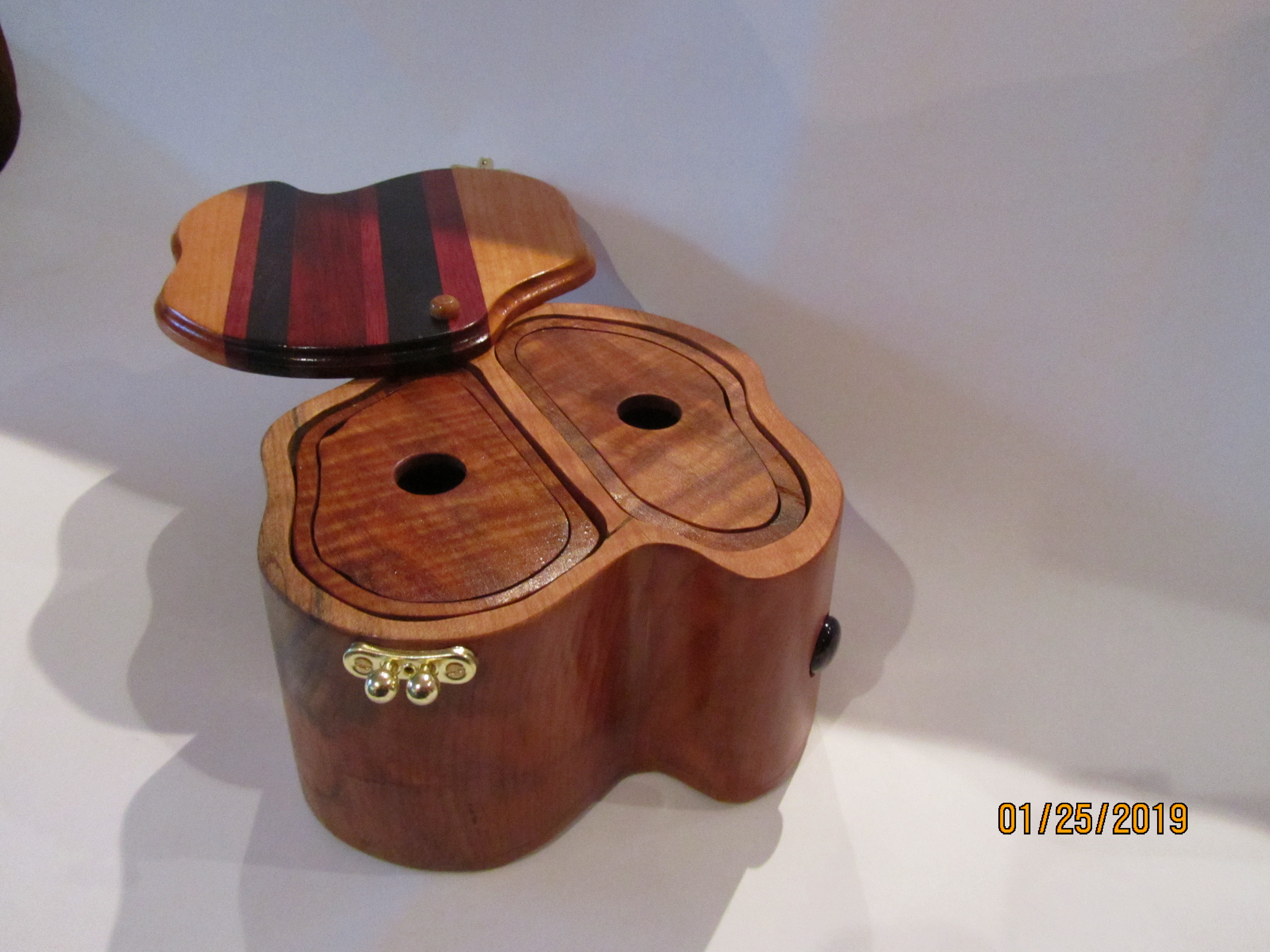 SOLD PB#226 Jewelry Organic Case