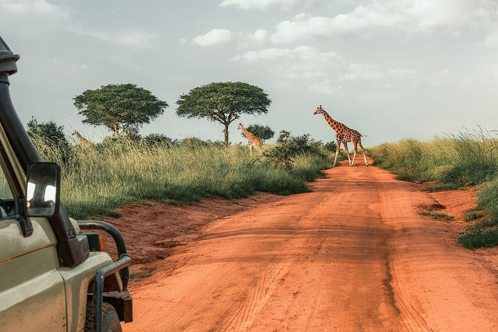 Boat cruise at Murchison Falls