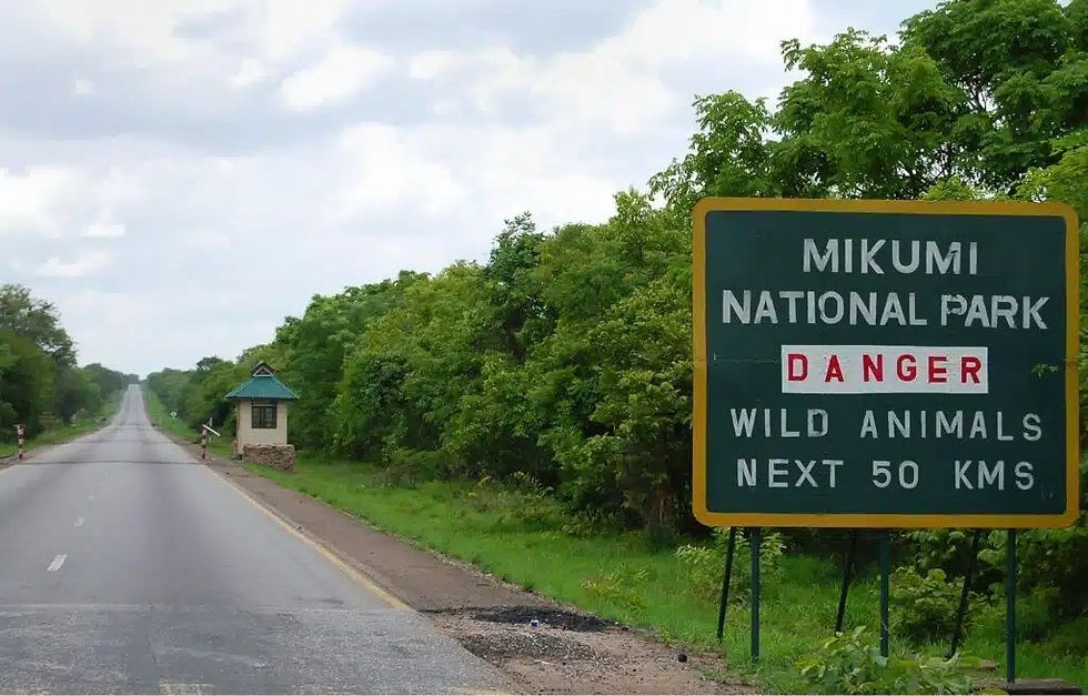 Mikumi park entrance