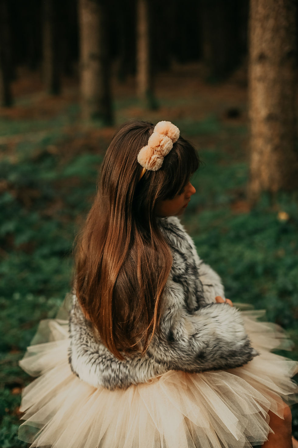Miniatura: SERRES TETES