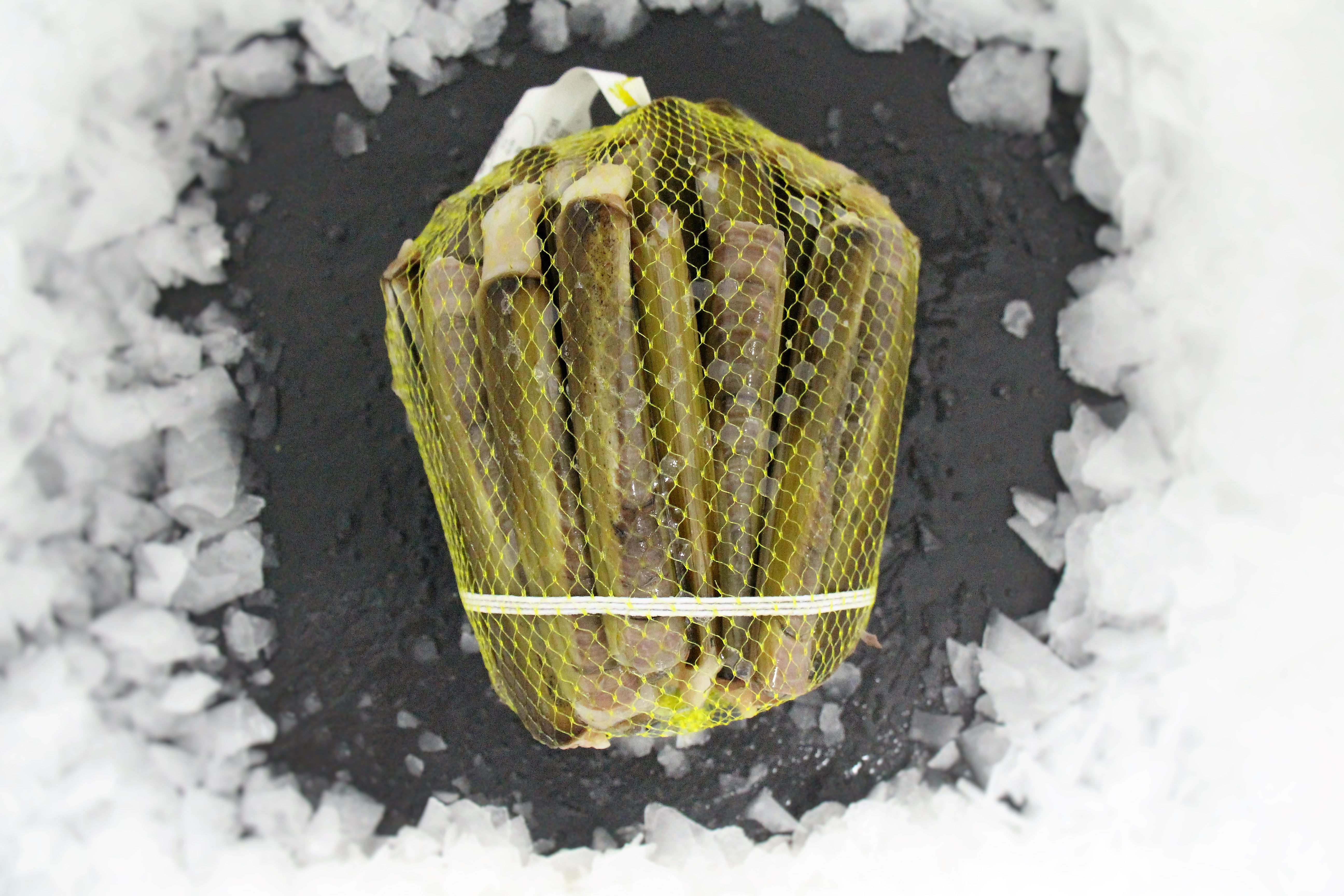 Schwertmuscheln (1120)