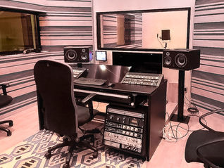 Truesound-Acoustics_Web-Image_027Projects_Berry-Berk.JPG