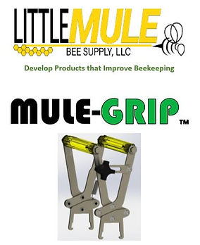 Mule.JPG