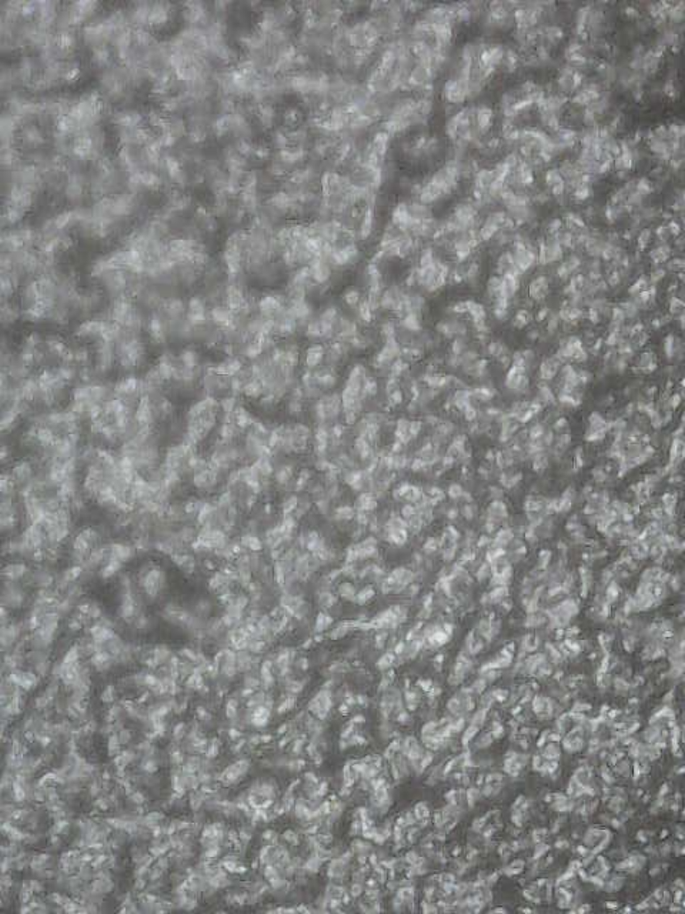 Donatas Norušis, Surface Level, digital micro-photography documentation, 2025