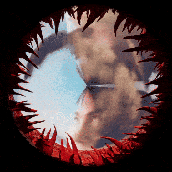 Donatas Norušis, Nature Morte, 2023 (2).gif