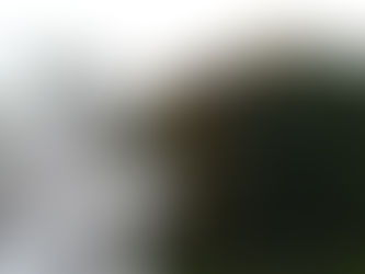 TALKS || First Start || 踏出一小步