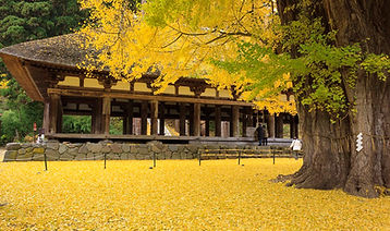 神宮熊野神社①.jpg