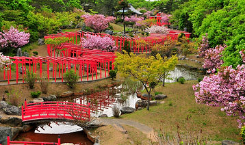 高山稲荷神社①.jpg