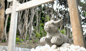 白兎神社①.jpg