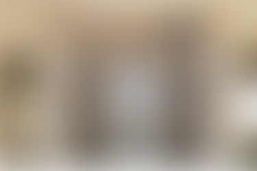 Iron Doors in Prescott, AZ: The Cherry Forge alternative - All Aluminum Entry Doors and Security doors - built to thrive in Arizona’s unique climate