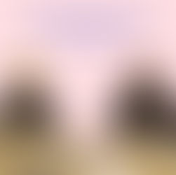 Future Boardin historiaan kuuluu joukko henkilöitä, joiden panos yhdistyksen rakentamisessa on ollut poikkeuksellinen. Heitä kutsutaan joskus myös "Senseiksi". Nämä mestarit kantavat kunniajäsenen titteliä osoituksena järjestömme kunnioituksesta ja kiitollisuudesta heitä kohtaan.