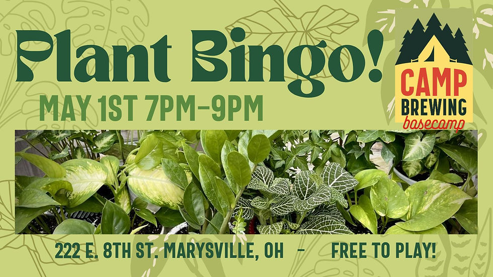 Plant Bingo at Basecamp