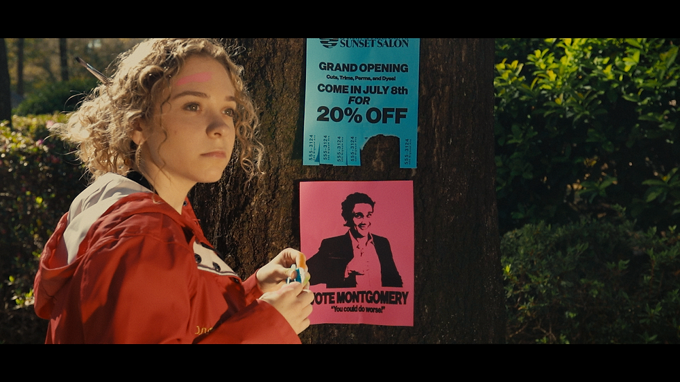 The Lemonade Files