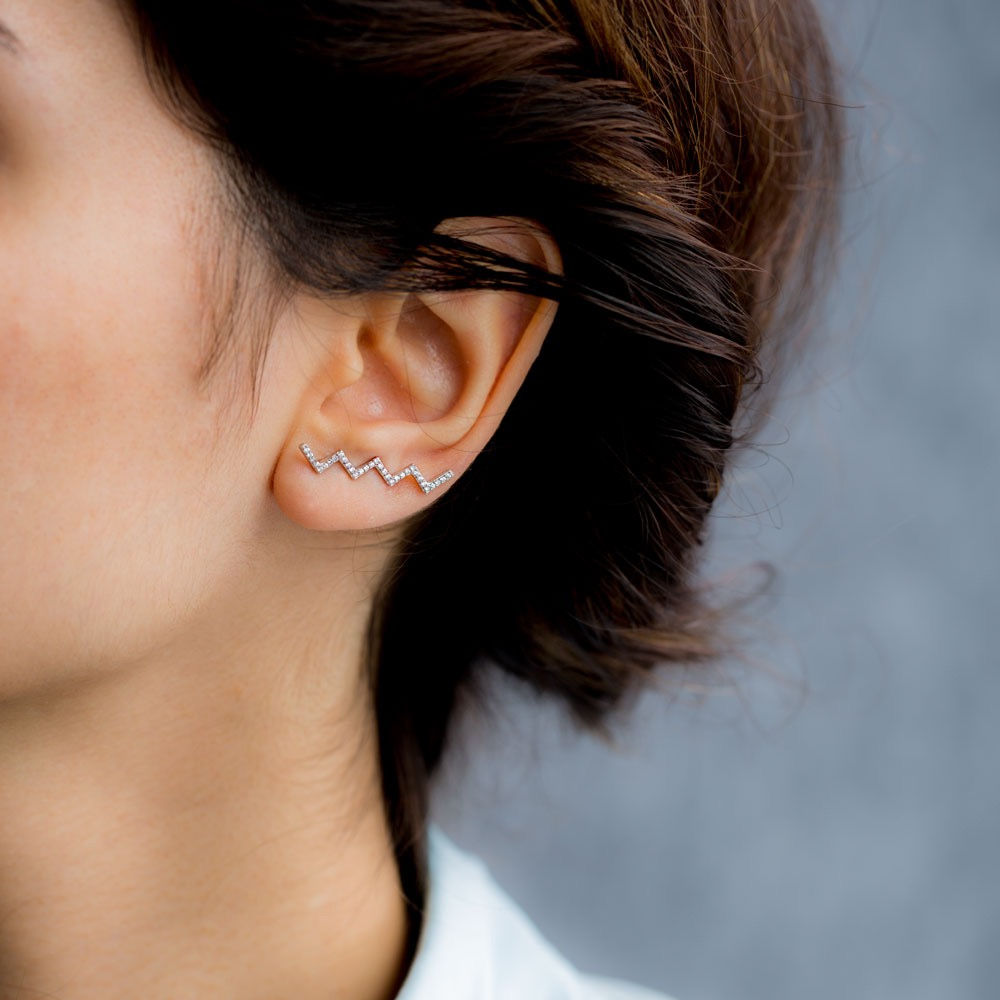 Zigzag Earrings