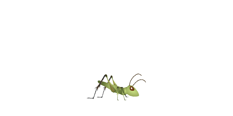 Cricketgif.gif