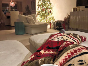 A Few Simple Reminders That Can Help Keep You Safe During the Holidays