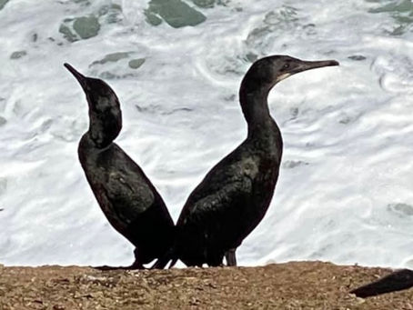 How Personal Branding Can Set You Apart from the Competition