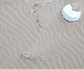 #写真 #漂流物 #海 #日本海 #日本海沿岸 #海岸 #ごみ #ゴミ #プラスチック #漂着ごみ #漂流ゴミ #海洋プラスチックごみ ###海のごみ #海洋ごみ #海のプラスチックごみ #海辺 #おもしろ #アート #漂着物 #海岸 #海外 #marine #debris #sea #wrack #pictur #japansea