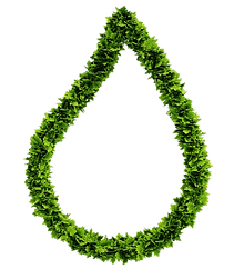 water cleaning system, green, sustainability