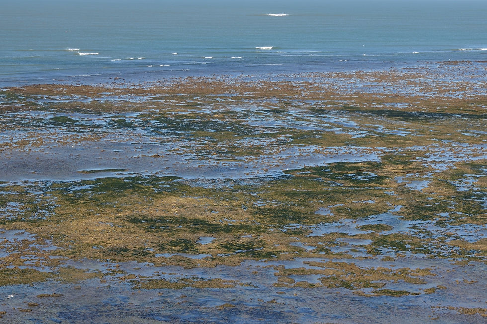Le Phare de Cordouan