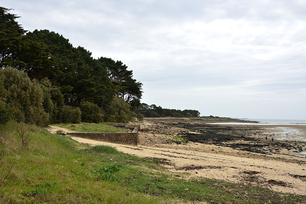 La Pointe de Saint-Philibert