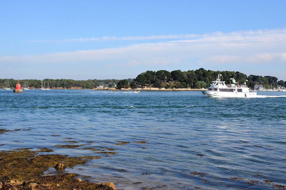 Golfe du Morbihan