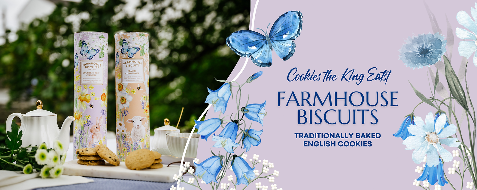 Copy of Triconnect SPRING Header website (2).png