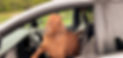 top-notch medical transportation services in St. Louis