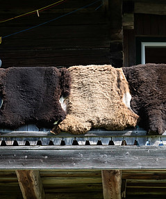 NZ9_8660.jpg