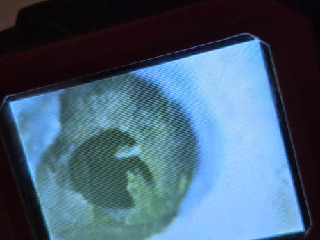 Schadensanalyse & Ursachenfindung