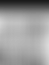 MBA - New York Tech