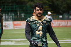 Rodrigo Ruiz3.jpg