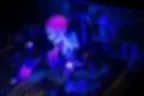 Miniature : Flipper Metallica Remastered Premium Stern Pinball