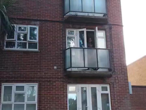Pigeons Left Without Food & Water for Two Days Due to Anti-Bird Netting
